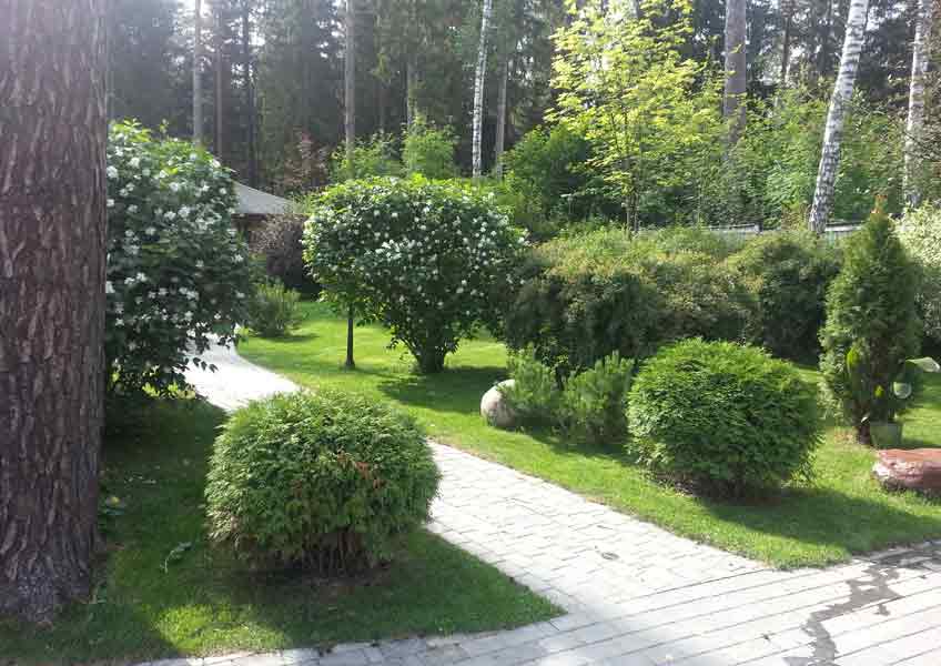 ландшафтный дизайн участка дачи